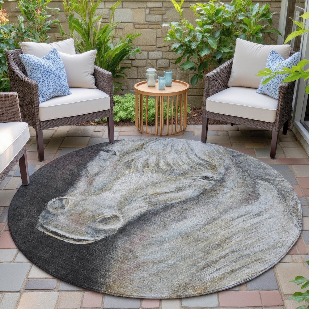 Machine Washable Indoor/Outdoor Chantille ACN2080 Ivory 8' x 8' Round Rug. Picture 6