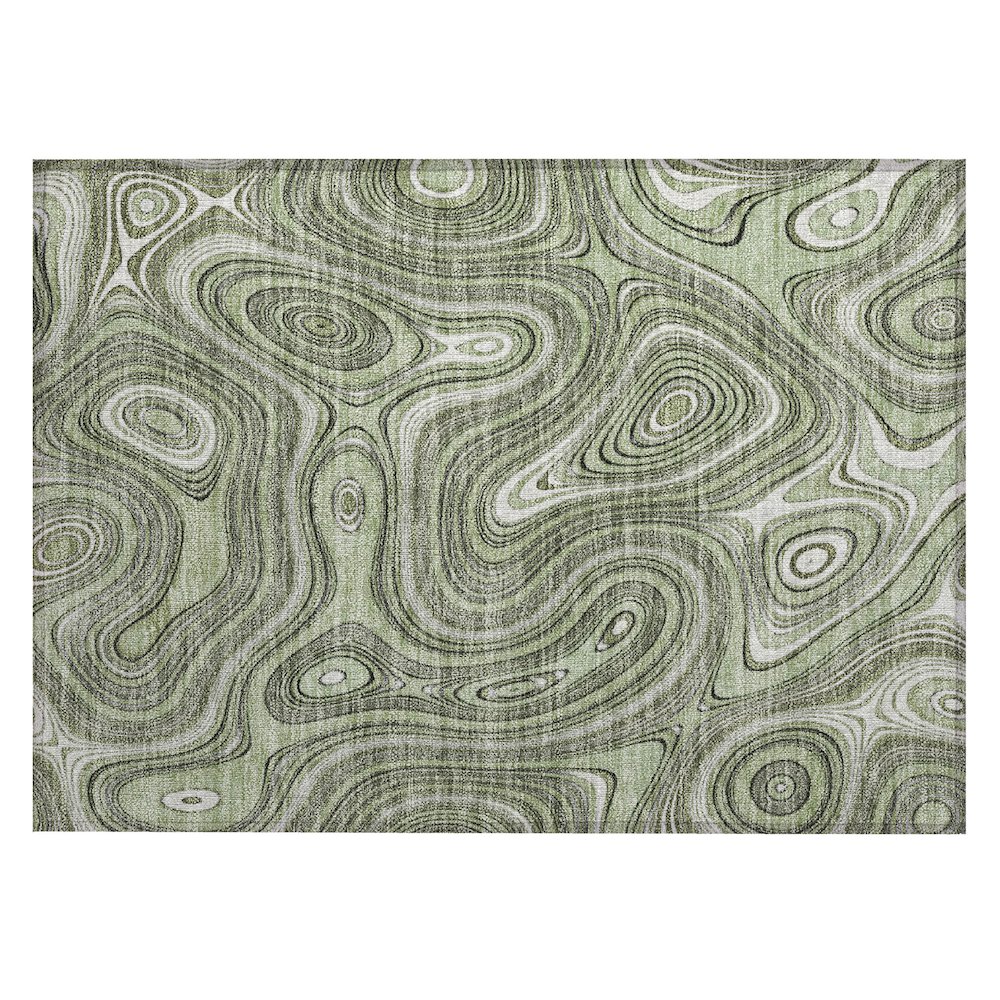 Machine Washable Indoor/Outdoor Chantille ACN2097 Aloe 1'8" x 2'6" Rug. Picture 1