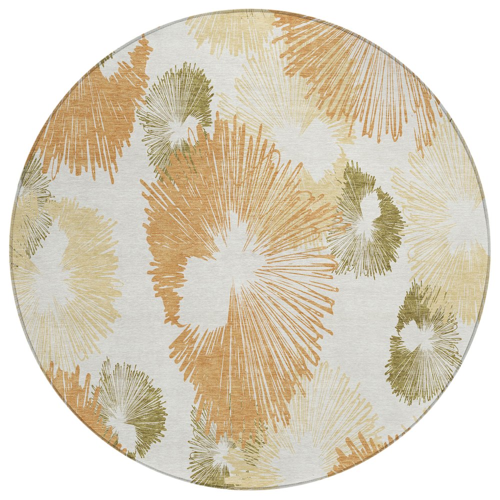 Machine Washable Indoor/Outdoor Chantille ACN2132 Coral 8' x 8' Round Rug. Picture 1