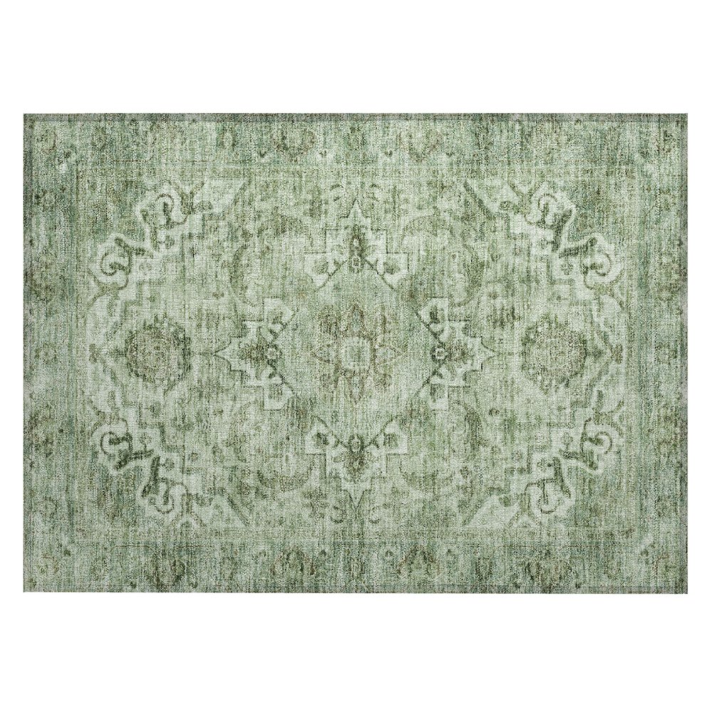 Machine Washable Indoor/Outdoor Chantille ACN2164 Aloe 1'8" x 2'6" Rug. Picture 1