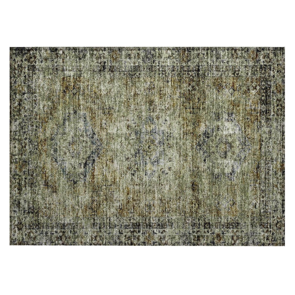 Machine Washable Indoor/Outdoor Chantille ACN2170 Aloe 1'8" x 2'6" Rug. Picture 1