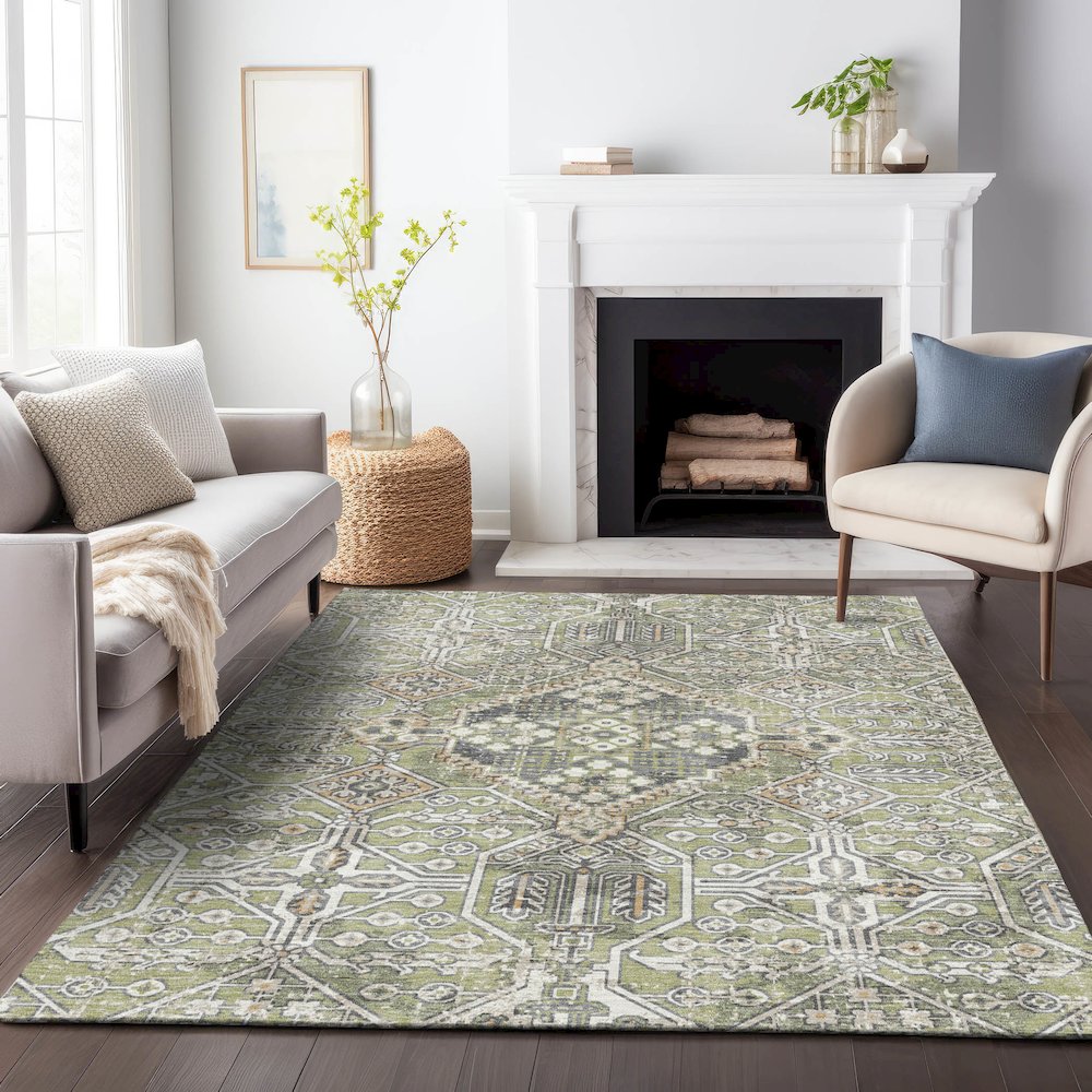 Machine Washable Indoor/Outdoor Chantille ACN2197 Aloe 2'6" x 3'10" Rug. Picture 6