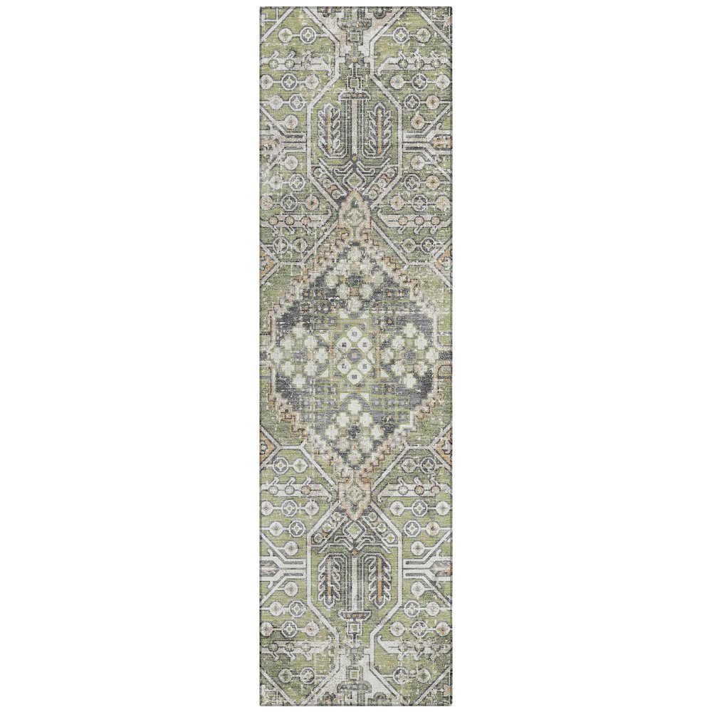 Machine Washable Indoor/Outdoor Chantille ACN2197 Aloe 2'3" x 7'6" Runner Rug. Picture 1