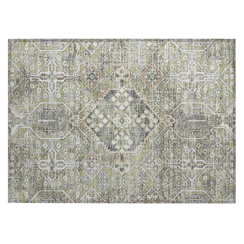 Machine Washable Indoor/Outdoor Chantille ACN2197 Aloe 1'8" x 2'6" Rug. Picture 1