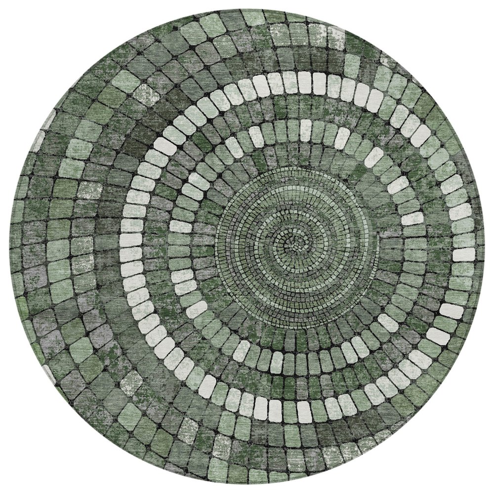 Machine Washable Indoor/Outdoor Chantille ACN2216 Sage 8' x 8' Round Rug. Picture 1