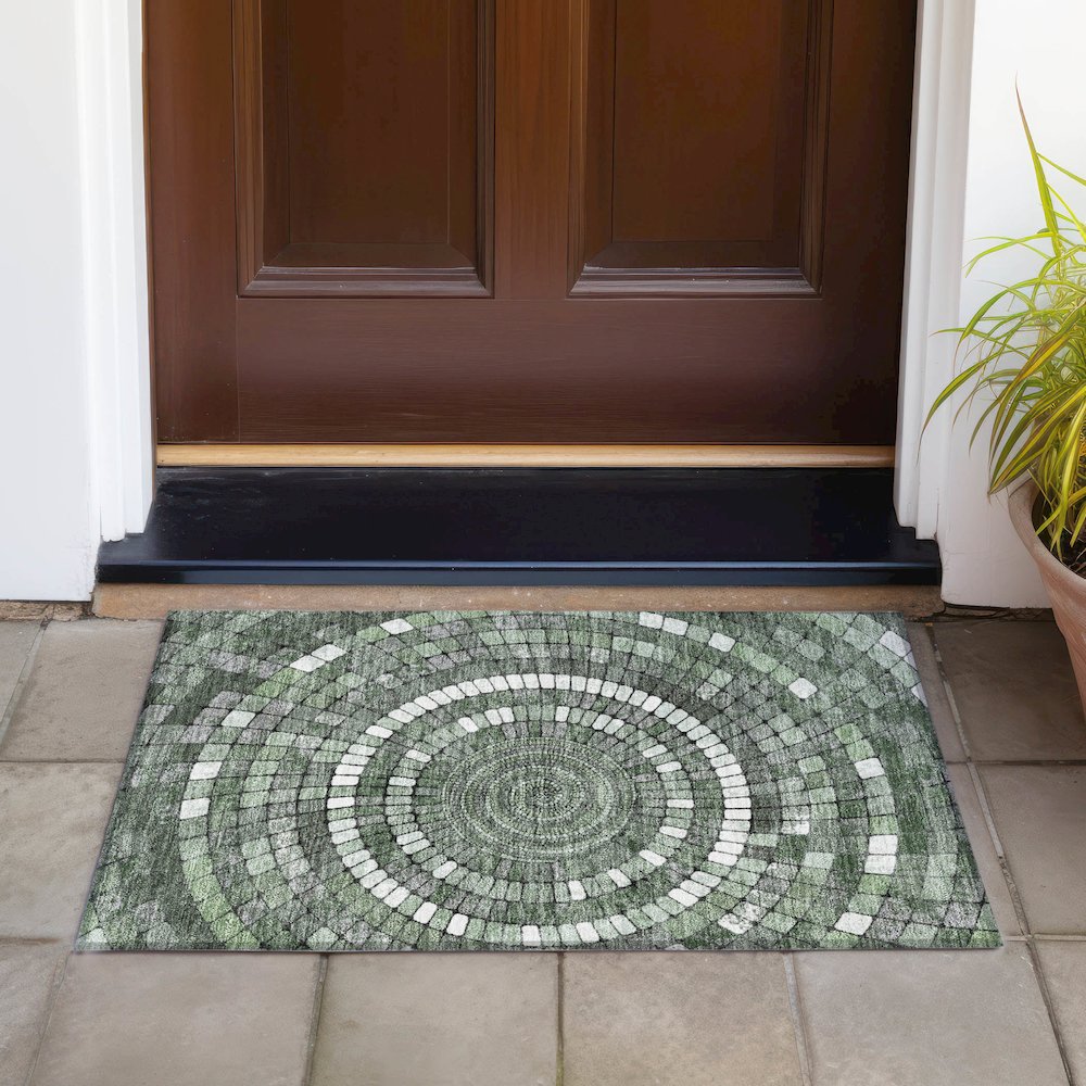 Machine Washable Indoor/Outdoor Chantille ACN2216 Sage 1'8" x 2'6" Rug. Picture 6