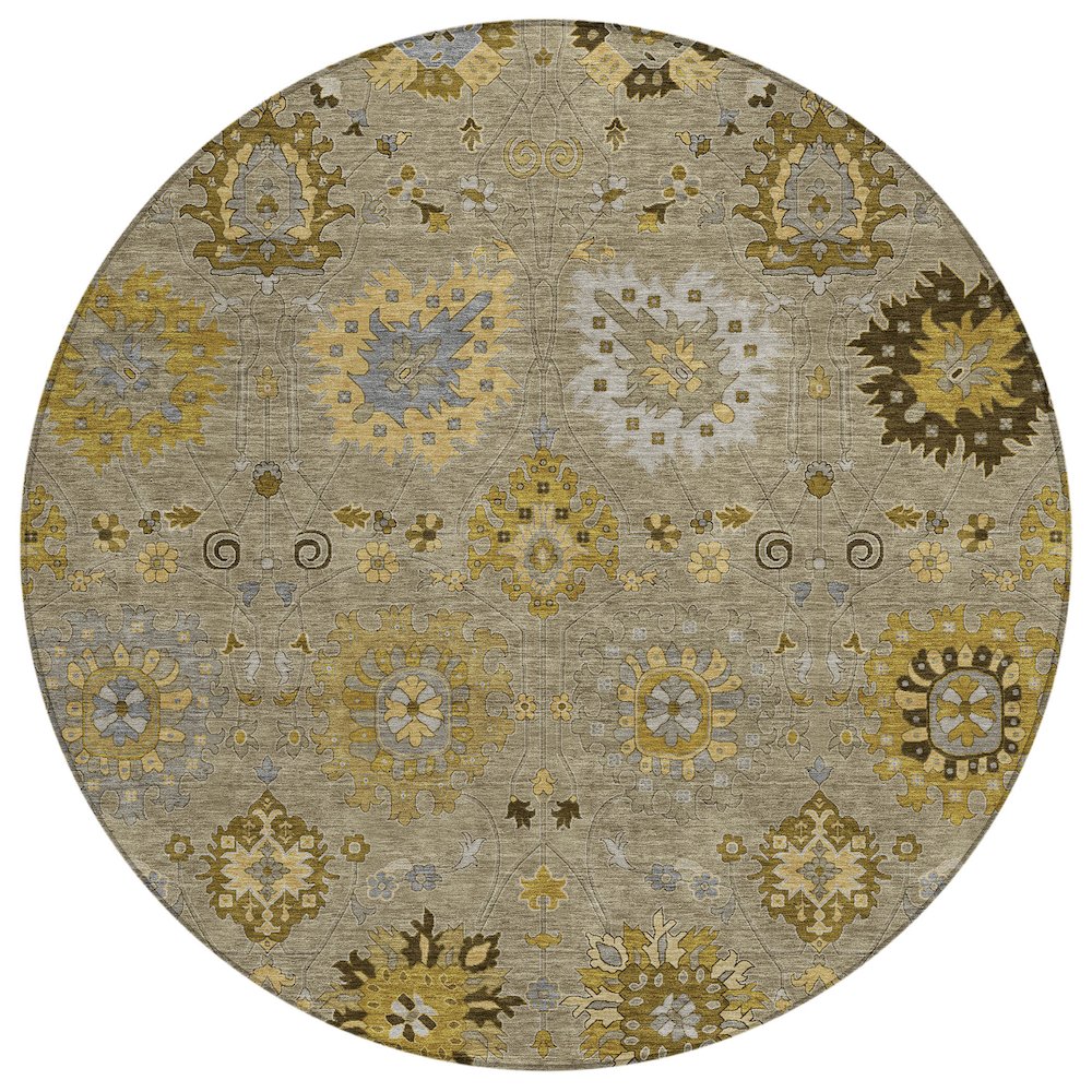 Machine Washable Indoor/Outdoor Chantille ACN2289 Brown 8' x 8' Round Rug. Picture 1