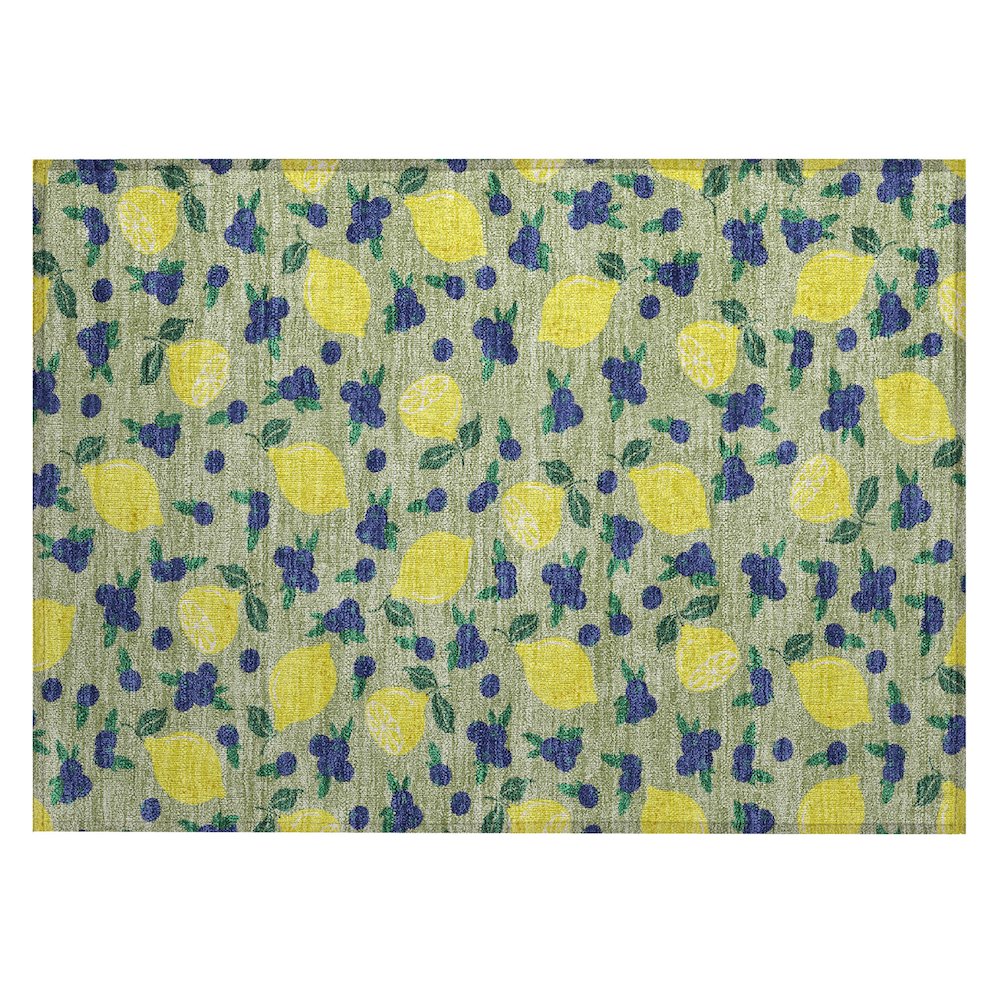 Machine Washable Indoor/Outdoor Chantille ACN2354 Green 1'8" x 2'6" Rug. Picture 1