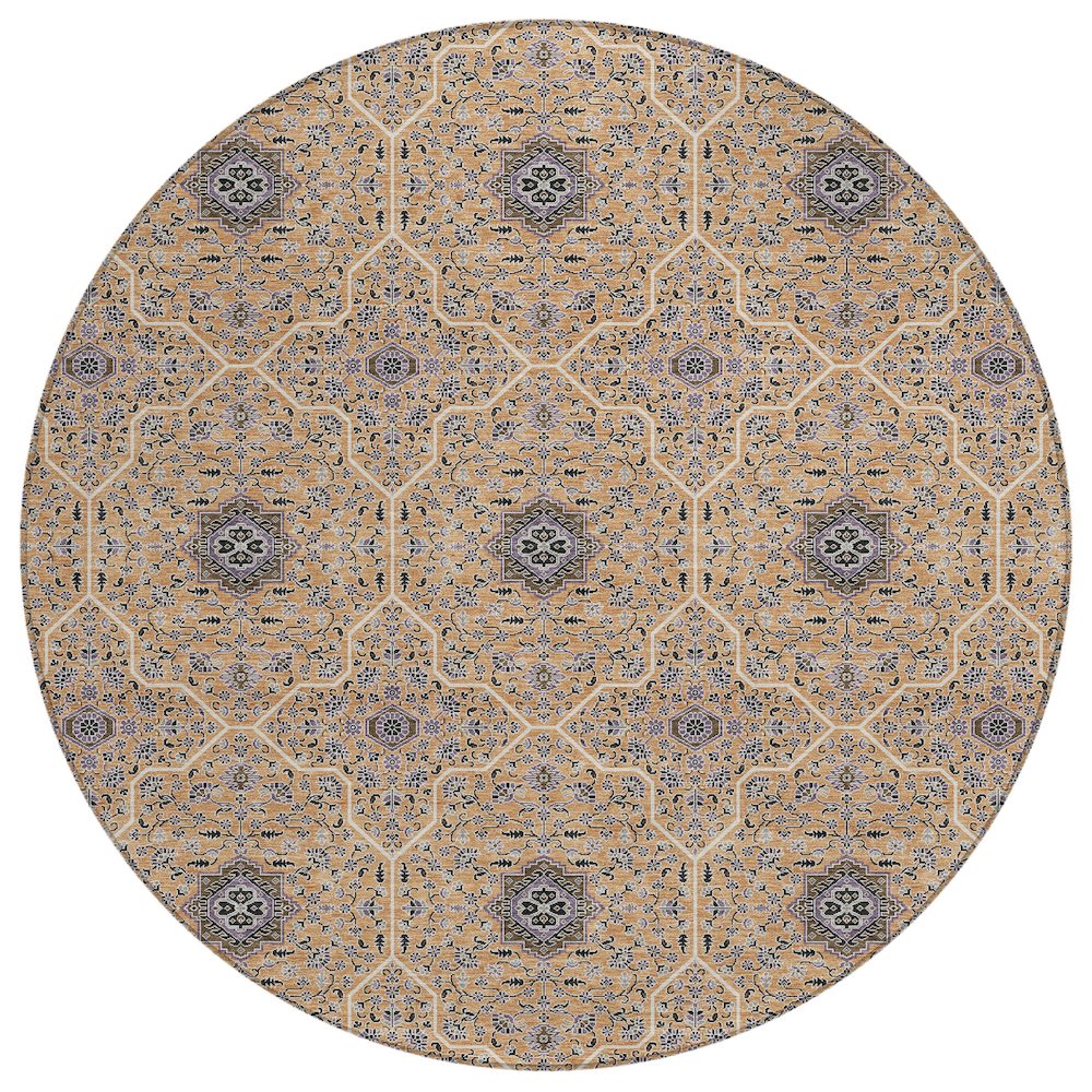 Machine Washable Indoor/Outdoor Chantille ACN2409 Orange 8' x 8' Round Rug. Picture 1