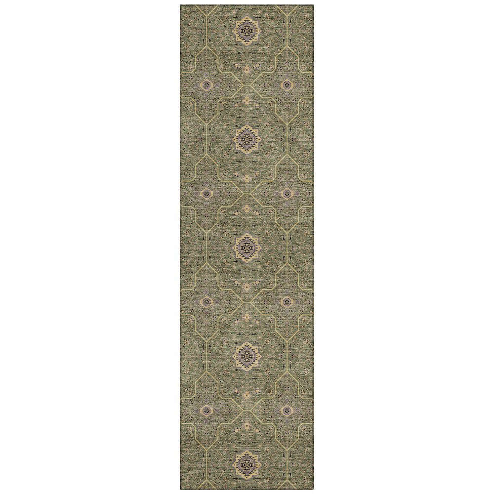 Machine Washable Indoor/Outdoor Chantille ACN2409 Green 2'3" x 7'6" Runner Rug. Picture 1