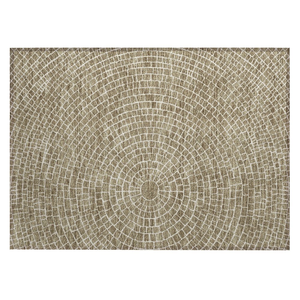 Machine Washable Indoor/Outdoor Chantille ACN2455 Brown 1'8" x 2'6" Rug. Picture 1