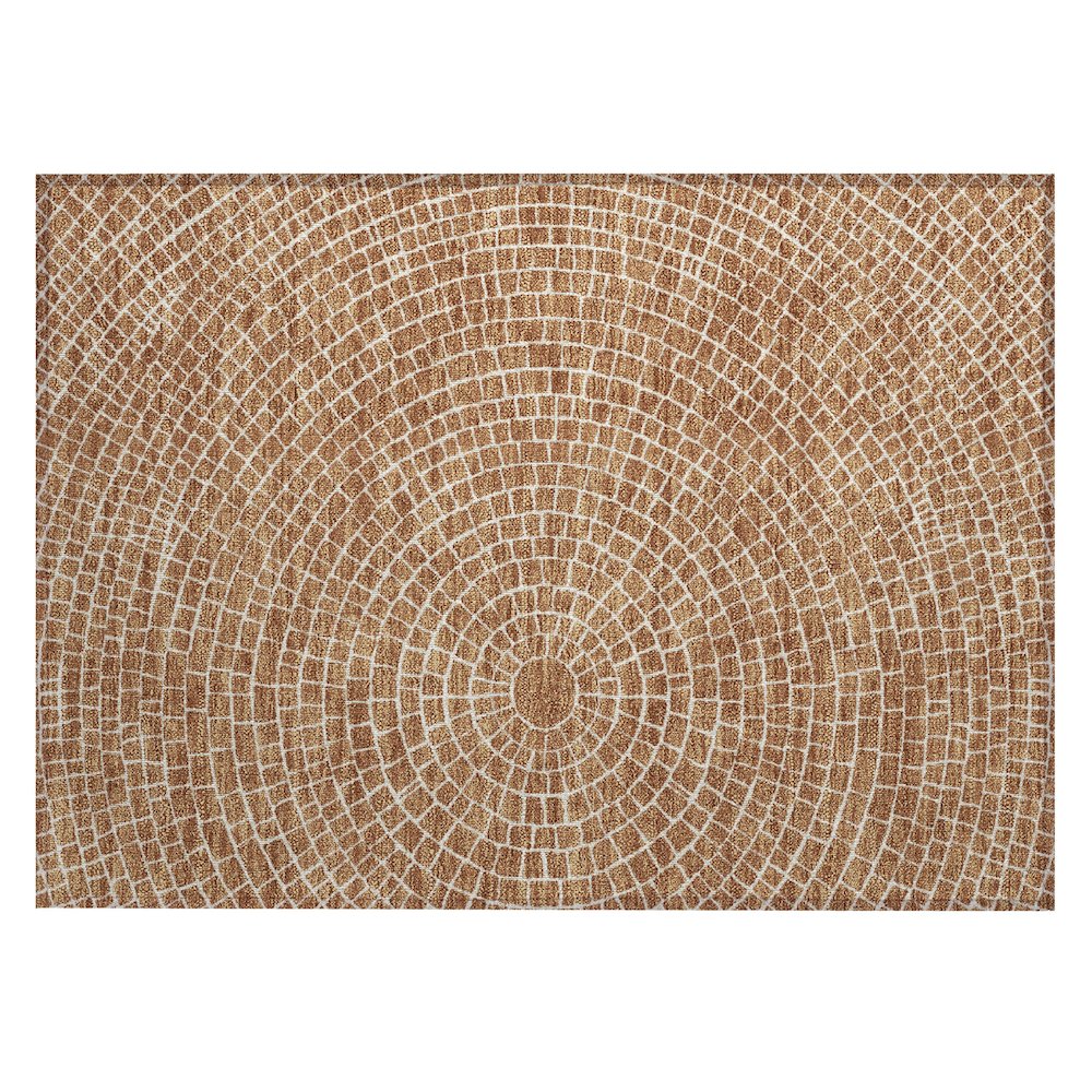 Machine Washable Indoor/Outdoor Chantille ACN2455 Orange 1'8" x 2'6" Rug. Picture 1