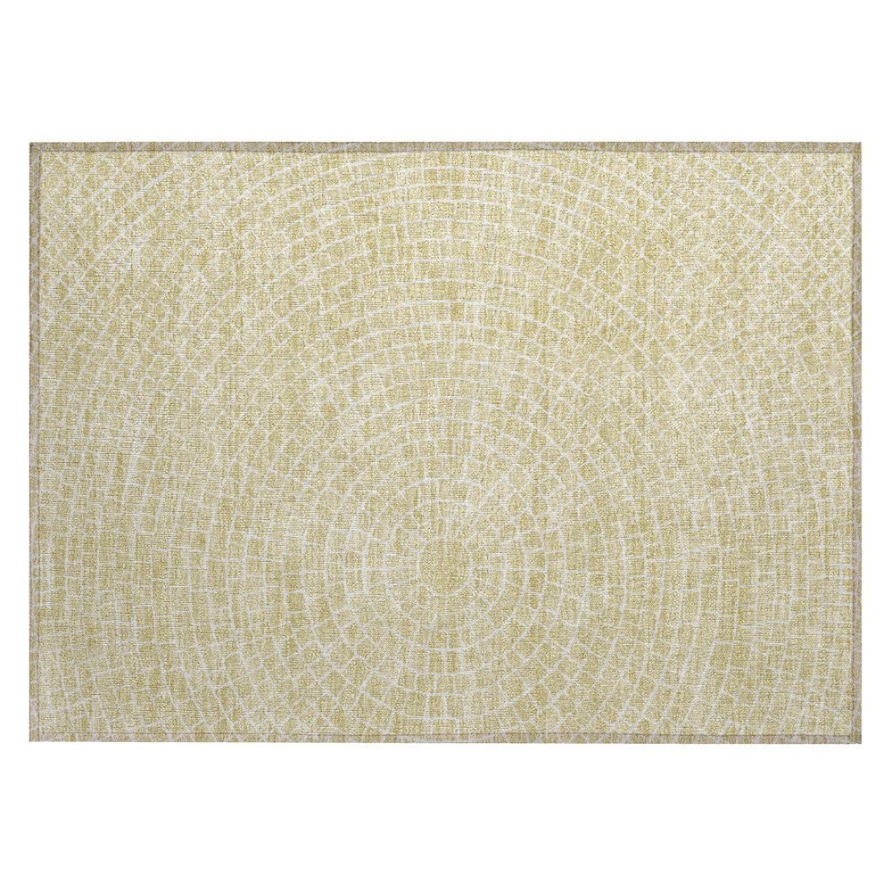 Machine Washable Indoor/Outdoor Chantille ACN2455 Gold 1'8" x 2'6" Rug. Picture 1