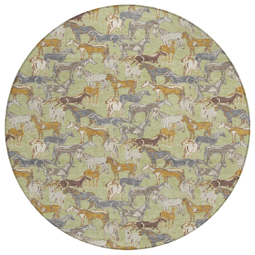 Machine Washable Indoor/Outdoor Chantille ACN2520 Green 8' x 8' Round Rug. Picture 1