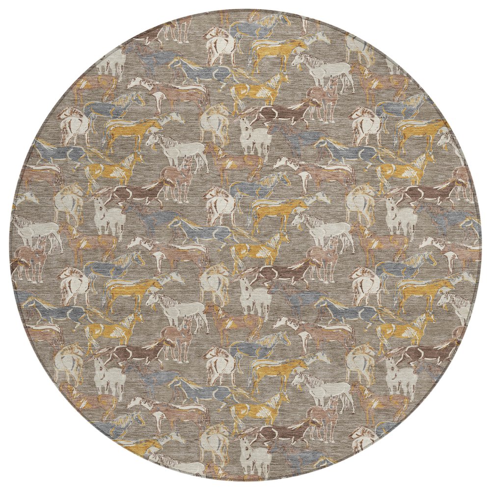 Machine Washable Indoor/Outdoor Chantille ACN2520 Brown 8' x 8' Round Rug. Picture 1