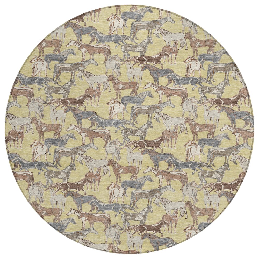 Machine Washable Indoor/Outdoor Chantille ACN2520 Gold 8' x 8' Round Rug. Picture 1