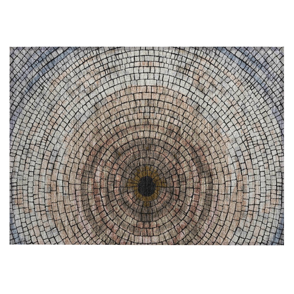 Machine Washable Indoor/Outdoor Chantille ACN2524 Brown 1'8" x 2'6" Rug. Picture 1