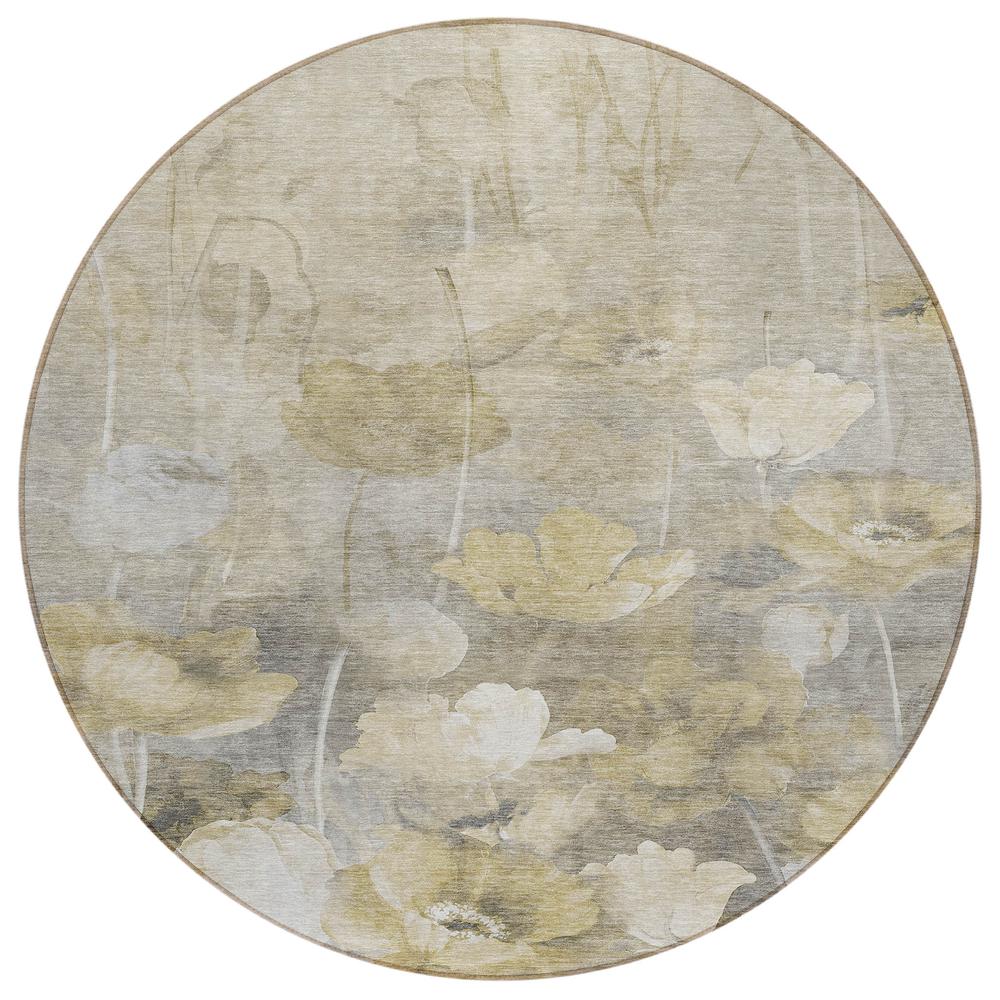 Chantille ACN613 Brown 8' x 8' Rug. Picture 1