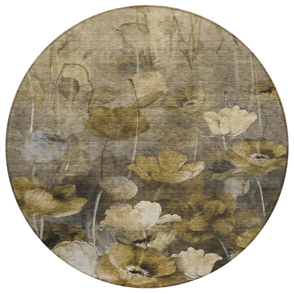Chantille ACN613 Brown 8' x 8' Rug. Picture 1
