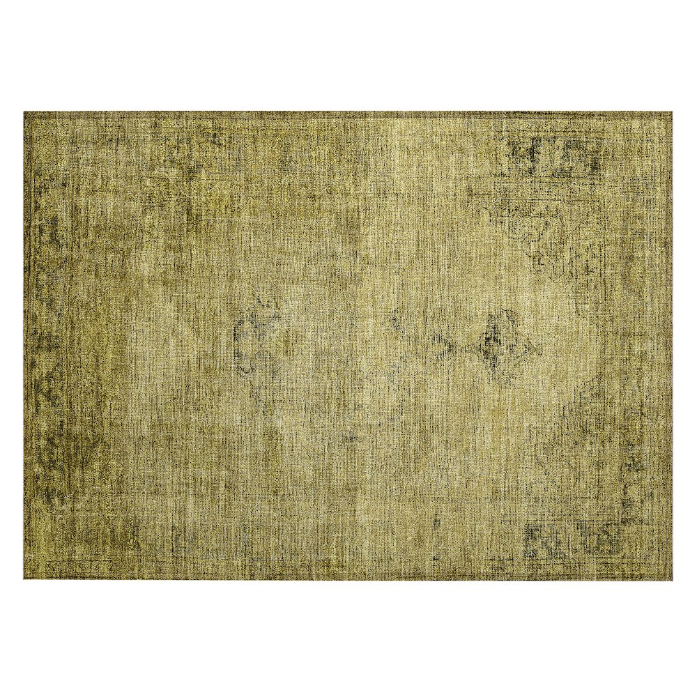 Chantille ACN658 Gold 1'8" x 2'6" Rug. Picture 1