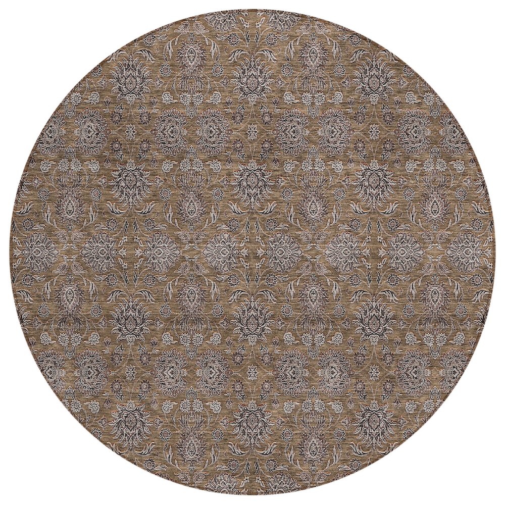 Chantille ACN702 Brown 8' x 8' Rug. Picture 1