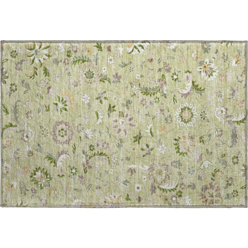 Premium Machine Washable Mayfield AMF1006 Aloe 1'8" x 2'6" Rug. Picture 1