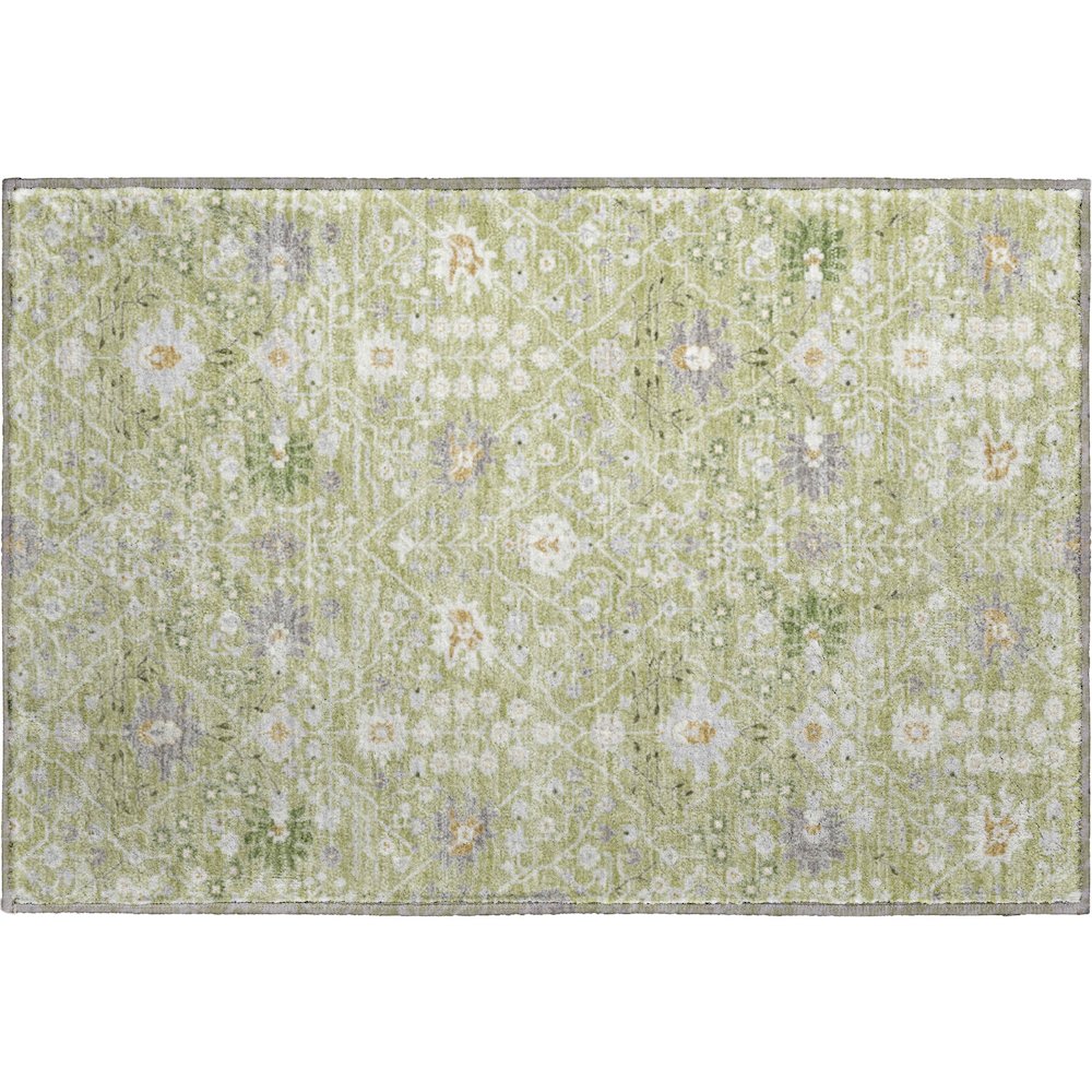 Premium Machine Washable Mayfield AMF1009 Aloe 1'8" x 2'6" Rug. Picture 1
