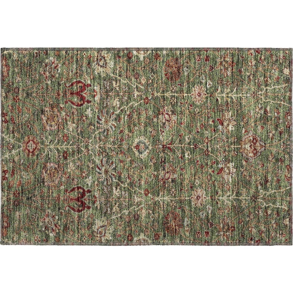 Premium Machine Washable Mayfield AMF1085 Fern 1'8" x 2'6" Rug. Picture 1