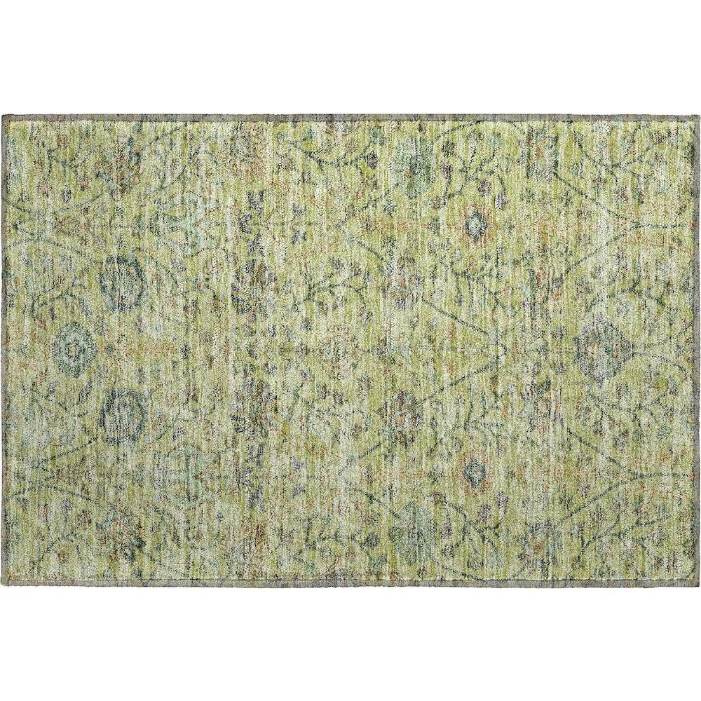 Premium Machine Washable Mayfield AMF1087 Mint 1'8" x 2'6" Rug. Picture 1