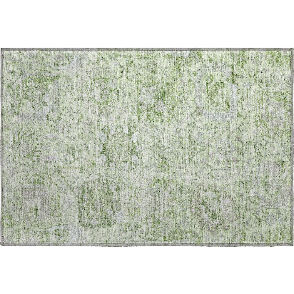 Premium Machine Washable Mayfield AMF1102 Mint 1'8" x 2'6" Rug. Picture 1