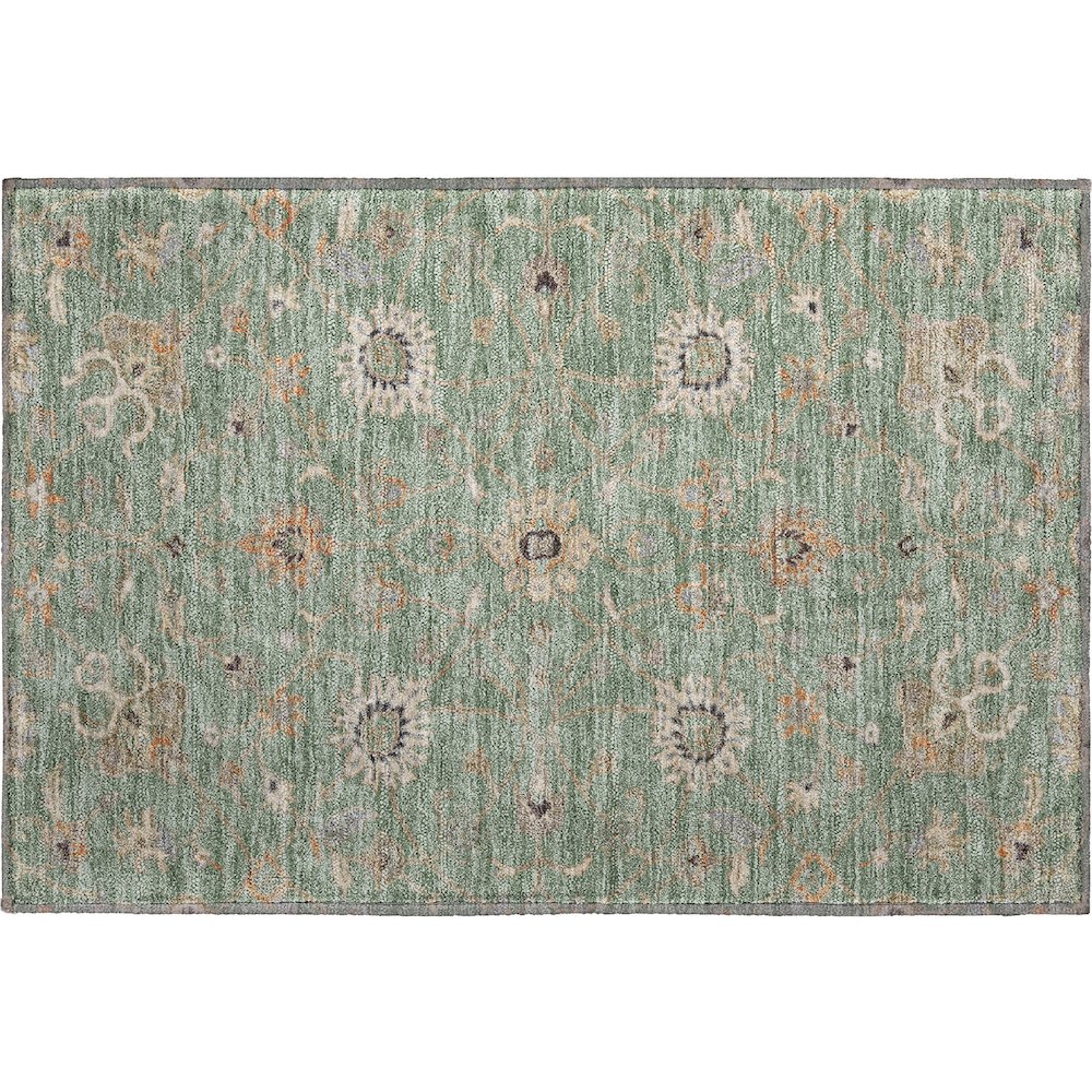 Premium Machine Washable Mayfield AMF1137 Cactus 1'8" x 2'6" Rug. Picture 1