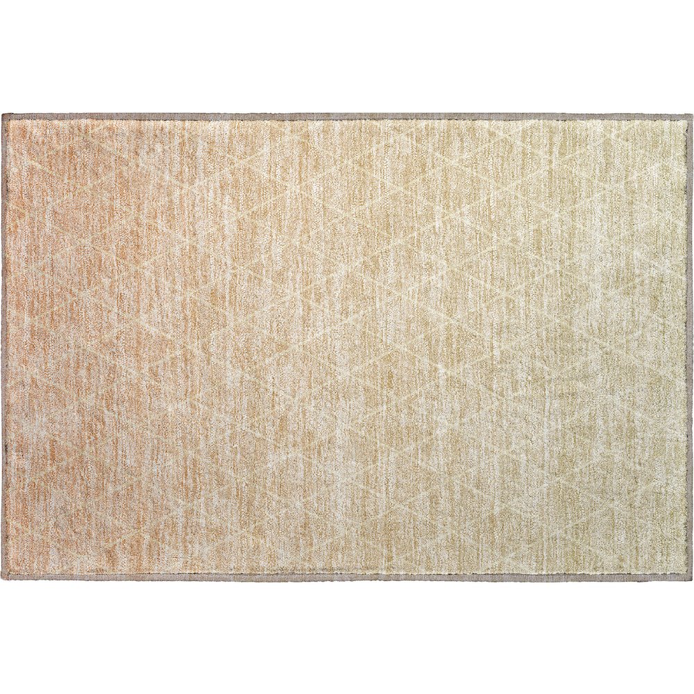 Premium Machine Washable Mayfield AMF1175 Salmon 1'8" x 2'6" Rug. Picture 1