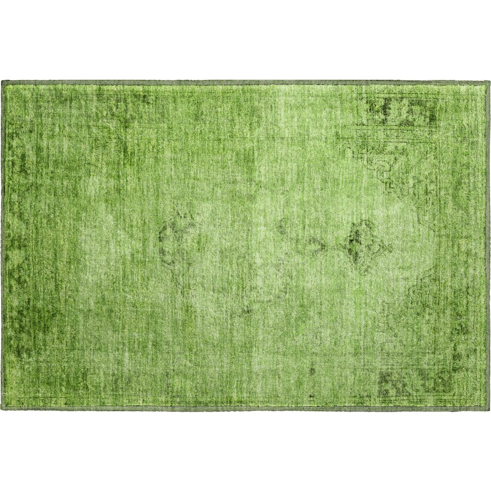 Premium Machine Washable Mayfield AMF658 Aloe 1'8" x 2'6" Rug. Picture 1