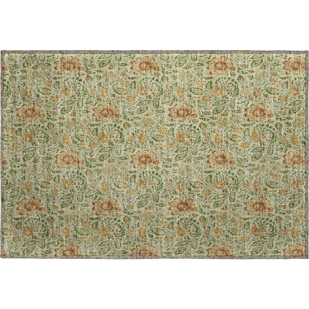 Premium Machine Washable Mayfield AMF660 Aloe 1'8" x 2'6" Rug. Picture 1