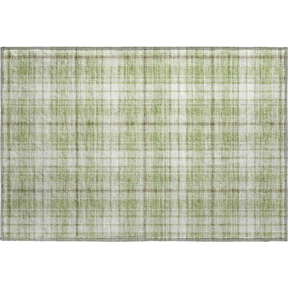 Premium Machine Washable Mayfield AMF993 Aloe 1'8" x 2'6" Rug. Picture 1