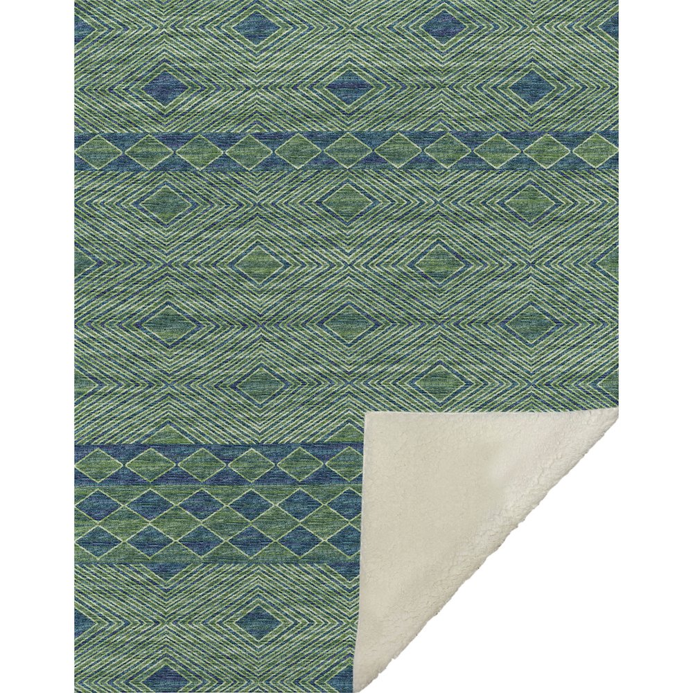 Premium Machine Washable ASB107 Green 50" x 70" Sherpa Throw Blanket. Picture 1