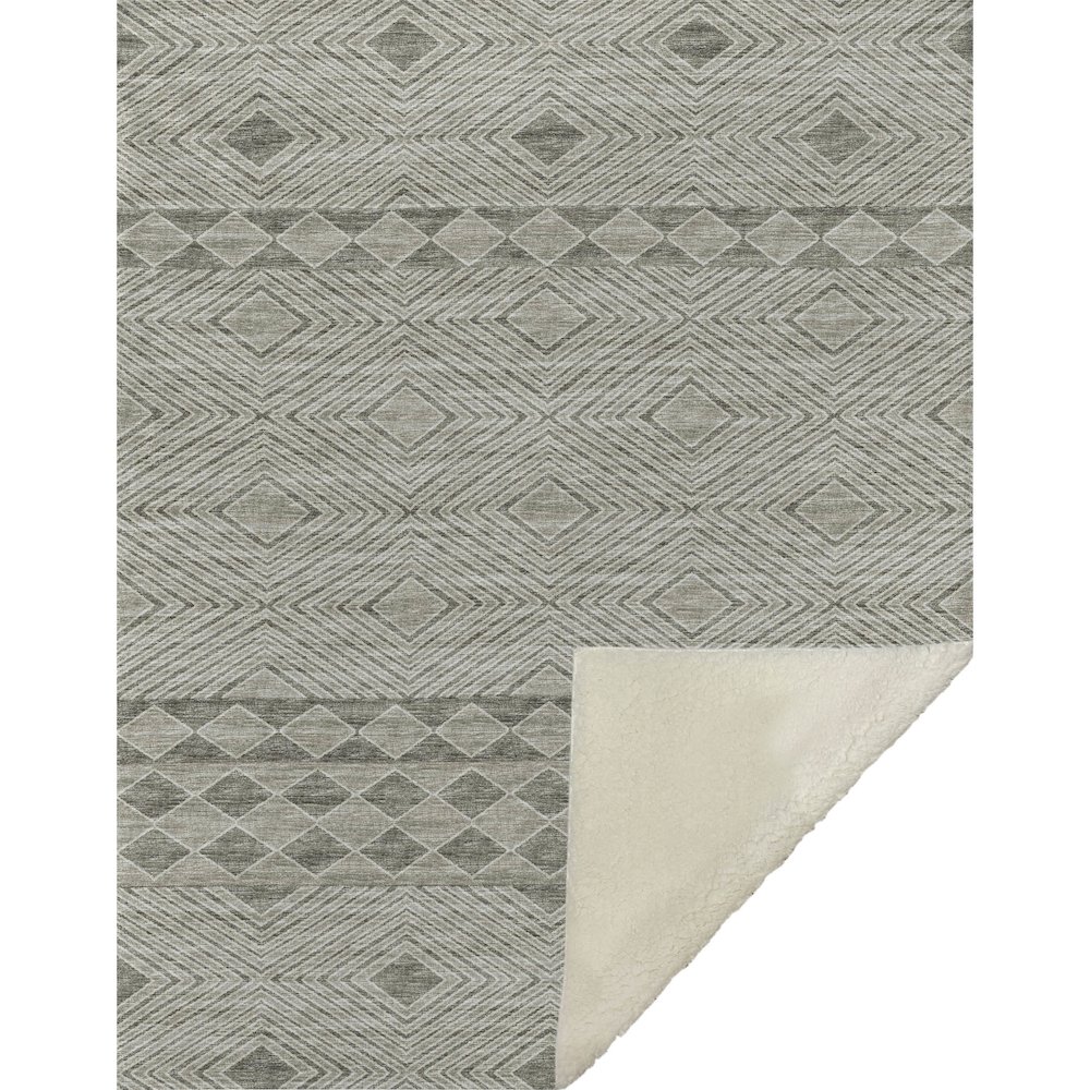 Premium Machine Washable ASB107 Taupe 50" x 70" Sherpa Throw Blanket. Picture 1