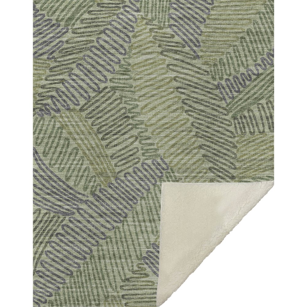 Premium Machine Washable ASB117 Green 50" x 70" Sherpa Throw Blanket. Picture 1