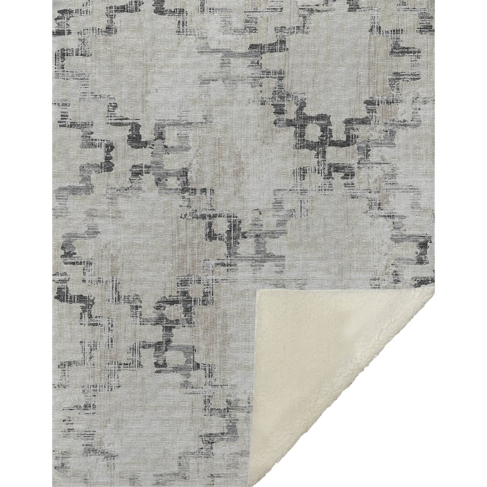 Premium Machine Washable ASB121 Taupe 50" x 70" Sherpa Throw Blanket. Picture 1