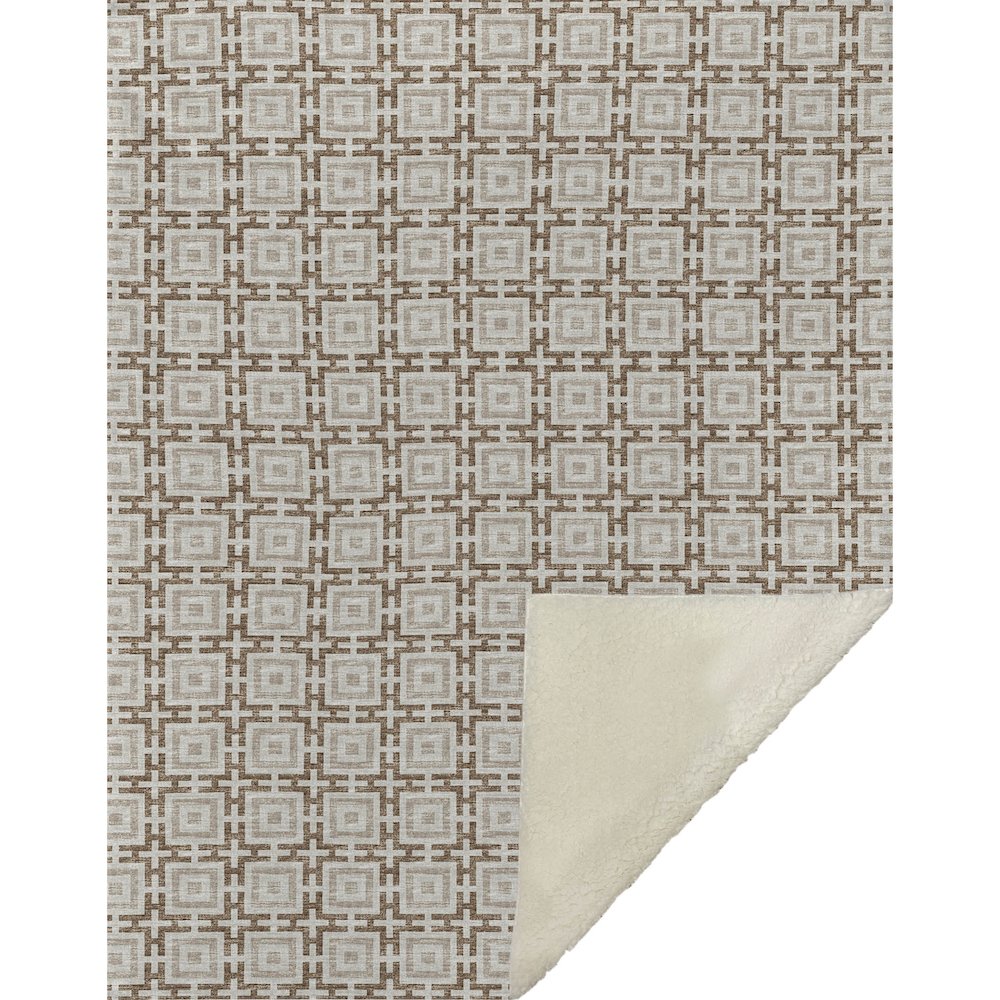 Premium Machine Washable ASB139 Taupe 50" x 70" Sherpa Throw Blanket. Picture 1