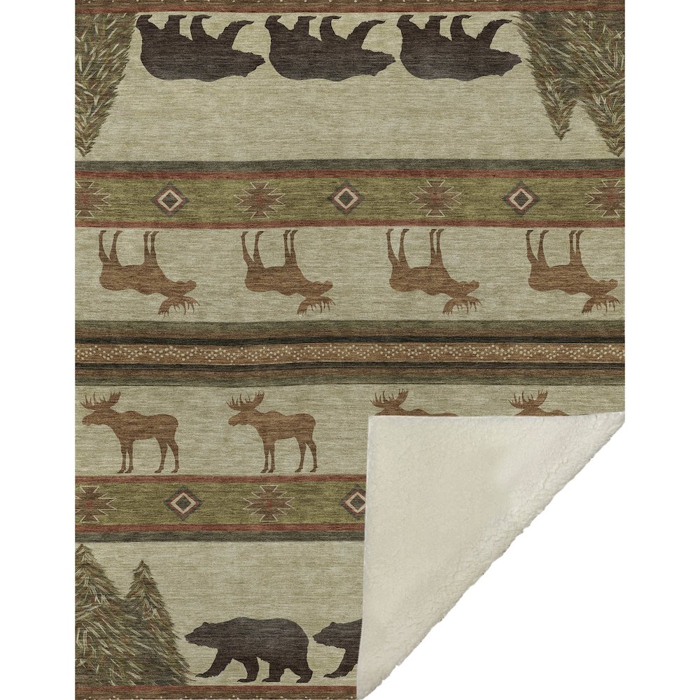 Premium Machine Washable ASB141 Brown 50" x 70" Sherpa Throw Blanket. Picture 1
