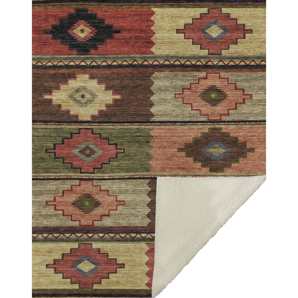 Premium Machine Washable ASB176 Paprika 50" x 70" Sherpa Throw Blanket. Picture 1