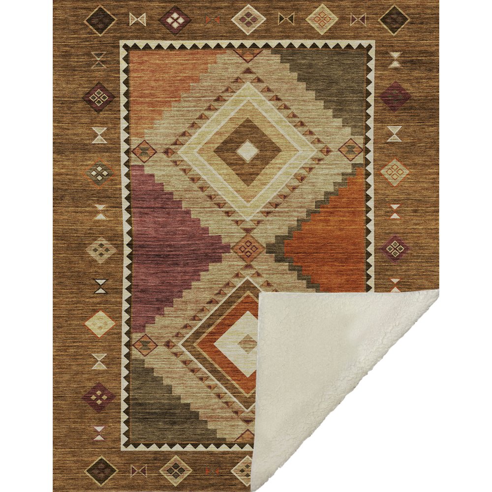 Premium Machine Washable ASB177 Brown 50" x 70" Sherpa Throw Blanket. Picture 1