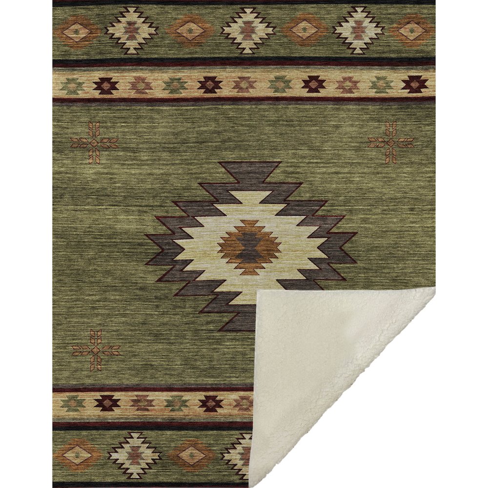 Premium Machine Washable ASB179 Green 50" x 70" Sherpa Throw Blanket. Picture 1