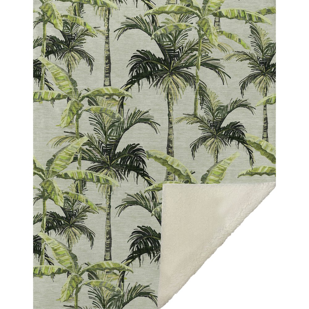Premium Machine Washable ASB205 Green 50" x 70" Sherpa Throw Blanket. Picture 1