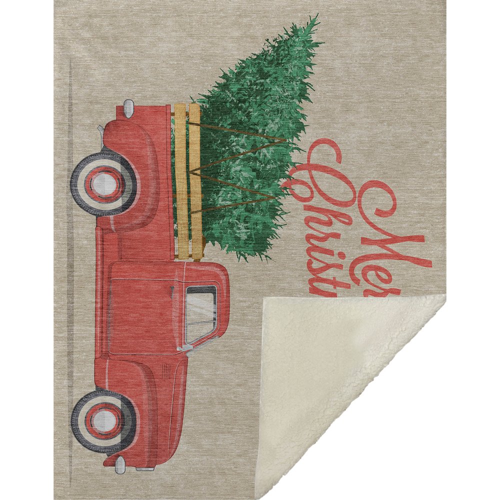 Premium Machine Washable ASB215 Red 50" x 70" Sherpa Throw Blanket. Picture 1