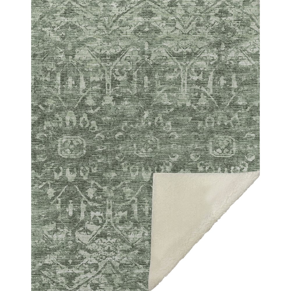 Premium Machine Washable ASB40 Green 50" x 70" Sherpa Throw Blanket. Picture 1
