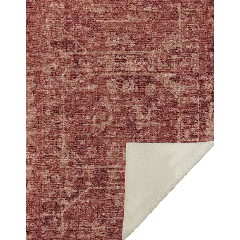 Premium Machine Washable ASB41 Spice 50" x 70" Sherpa Throw Blanket. Picture 1
