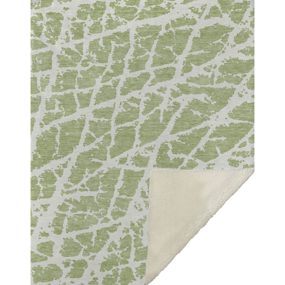 Premium Machine Washable ASB501 Aloe 50" x 70" Sherpa Throw Blanket. Picture 1