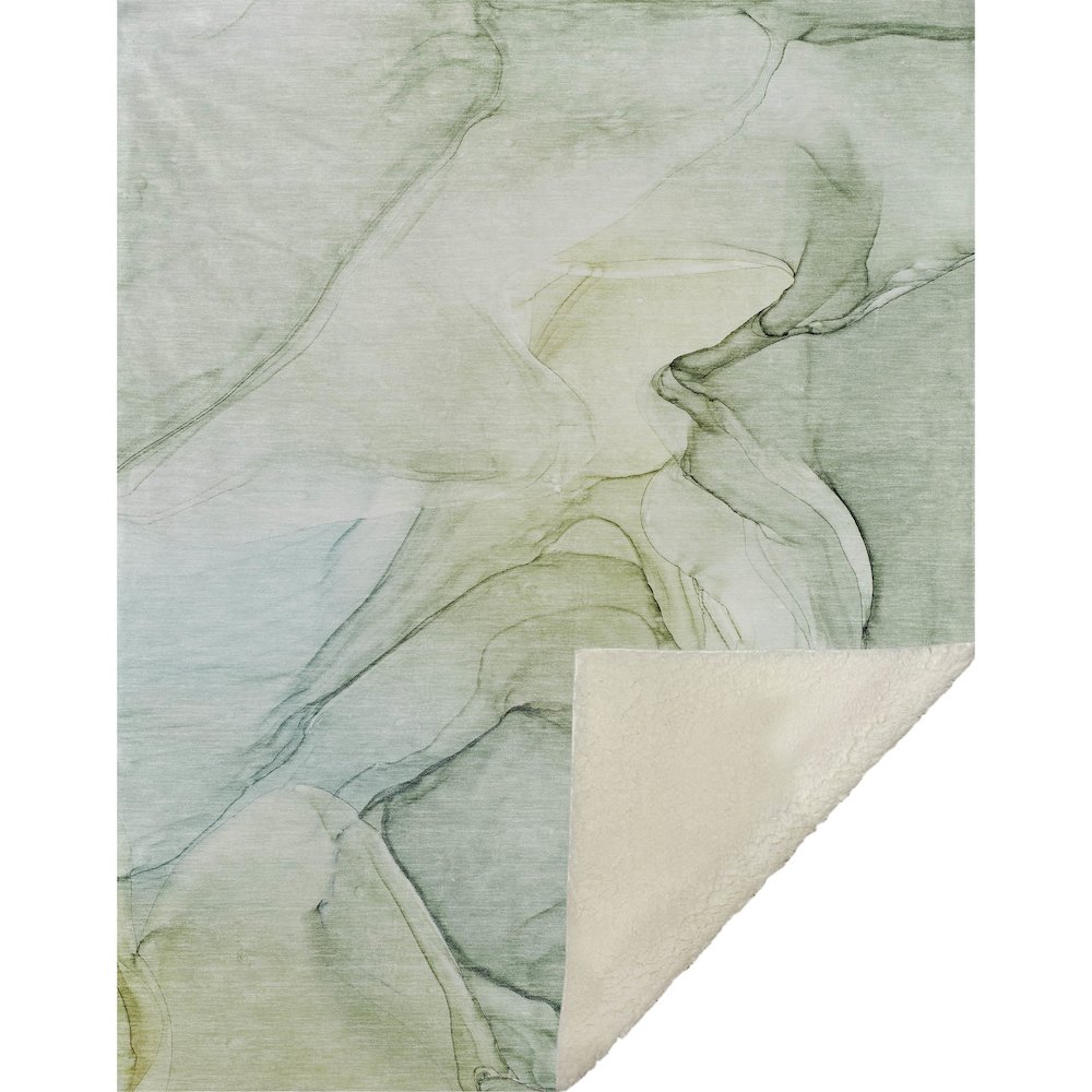 Premium Machine Washable ASB502 Green 50" x 70" Sherpa Throw Blanket. Picture 1
